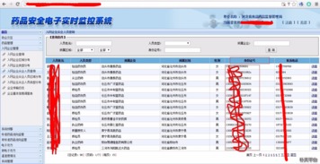 河北省食品藥品監(jiān)督管理局電子監(jiān)控系統(tǒng)弱口令安全風險與數(shù)字監(jiān)控系統(tǒng)開發(fā)中的安全策略